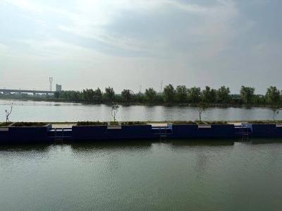 石首市高陵镇高陵岗九队湖畔项目建设稳步推进 邀您解锁乡村游新体验
