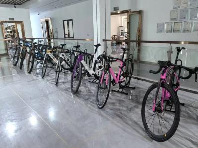 楚商回乡 共建支点 | “一根碳丝”引领“石首车架”挤进全国赛道！
