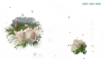《水乡行》第七站——瞿家湾革命旧址展新颜.mp4