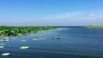 洪湖是什么？洪湖文旅局长告诉你