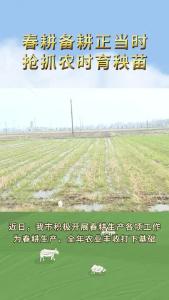 春耕备耕正当时 抢抓农时育秧苗