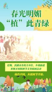 阳光明媚 “植”此青绿——洪湖市各机关单位、乡镇街道积极开展义务植树活动.mp4