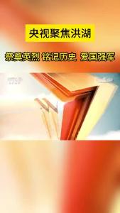 《央视聚焦洪湖》人武部清明节祭扫.mp4