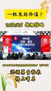 一粒米的价值——7.6亿元！.mp4