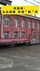 洪排河:众志成城 抢筑“防”线