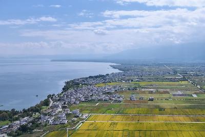 习近平总书记关切事｜幸福花开新农家