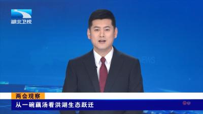 两会观察 | 从一碗藕汤看洪湖生态跃迁