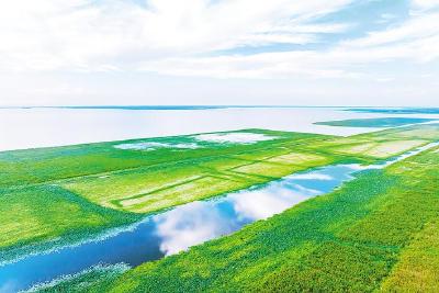 锚定保Ⅳ争Ⅲ 洪湖“浪打浪”气象新