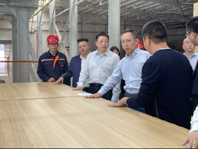 欧派家居执行总裁谭钦兴一行到我县投资考察