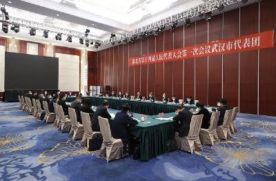 王忠林参加省十四届人大一次会议武汉代表团审议 