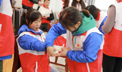 公安县红十字蓝丝带志愿者服务队成立