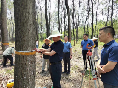国家林草局、省林业局领导赴公安县调研森林资源一体化监测工作