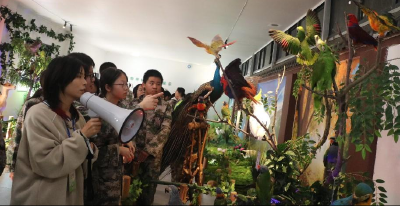 公安县开展“保护野生动物宣传月”活动