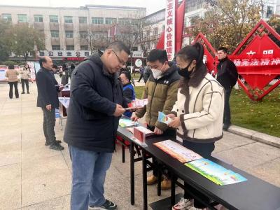 团县委开展宪法日宣传活动
