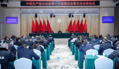 中共公安县委十五届五次全体会议举行