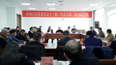 刘春霞参加公安县政协十一届三次会议第二组分组讨论