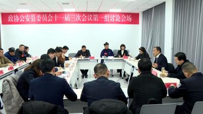 严广超参加县政协十一届三次会议第一组分组讨论