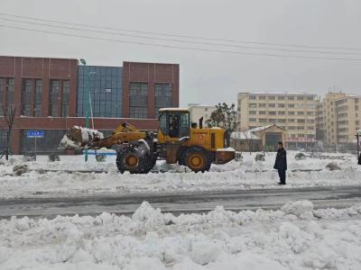 县城市管理执法局组织开展清雪除冰行动