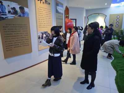 毛家港镇开展庆“三八”国际妇女节文化惠民活动