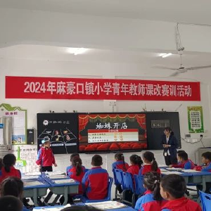 麻豪口镇2024年小学青年教师课改赛训活动举行