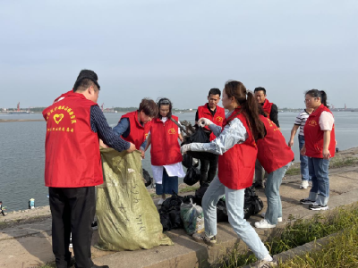 公安县埠河中心卫生院组织开展“清渠洁岸”活动