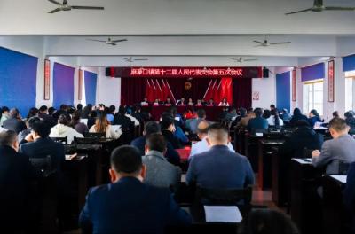 麻豪口镇召开第十二届人民代表大会第五次会议