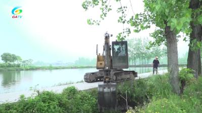  斗湖堤镇：压实责任 建设“河畅 水清 岸绿 景美”和美乡村