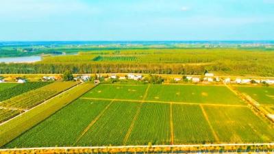 在公安，过上向往的生活