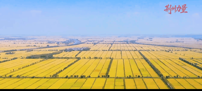 今天，唱响《荆州力量》！5分20秒，每一秒都是热爱！