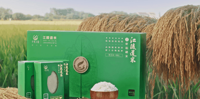 江陵：掀起冬修水利热潮