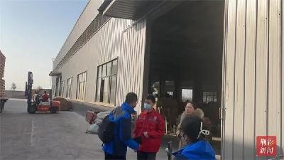 提前返乡，在家门口找到了好工作