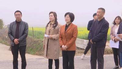 市政协调研江陵“联村发展”壮大集体经济工作