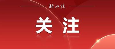 极简版来了！