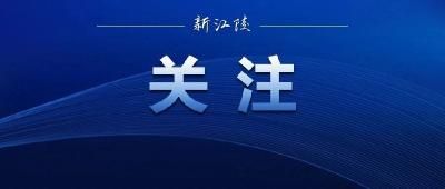 清朗·从严整治自媒体乱象