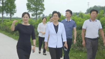 刘辉萍调研江陵县资市镇青山村文化文物工作时强调以传统文化传承创新赋能高质量发展