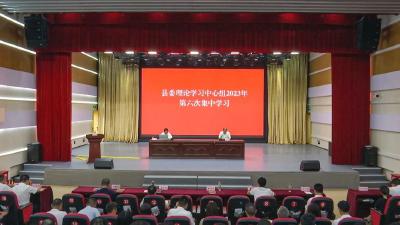 安全生产工作怎么抓，县委理论学习中心组集中学习