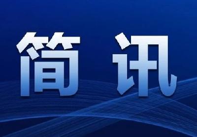 江陵县召开  青年工作联席会议  第三次全体会议