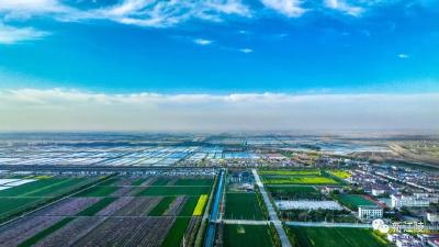 三湖管理区：激发“国家农业产业强镇”新活力