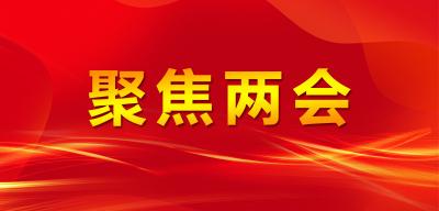 江陵县第七届人民代表大会第三次会议举行第一次分团审议