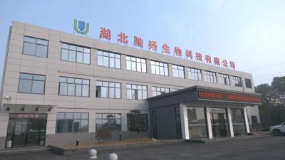 正式投产一个月，抢占中部地区水产饲料新赛道