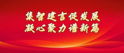 政协委员风采录之四丨童奎：聚焦梦里故乡 摊开悠长文化