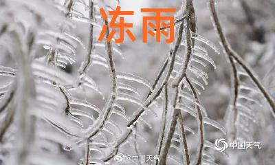 应急科普| 寒潮来袭如何预防冻雨