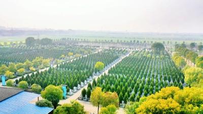 江陵开启殡葬新篇章：节地生态公墓助力文明新风尚