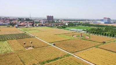 资市镇：地上人巡 空中机巡 分片包保促禁烧