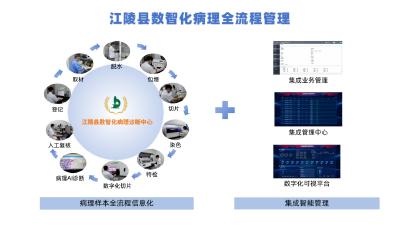 江陵县数智化病理服务赋能 群众就医更有“医”靠