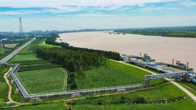 江陵县：全面巡查 细致检查 确保荆江大堤安全度汛