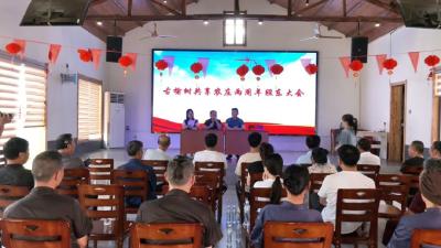 江陵这个村，向村民分红10万元！