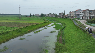 共同缔造丨秦市乡拖船埠村：打造水美民乐新天地