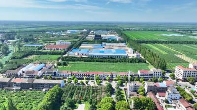 优化营商环境丨三湖管理区：政策送上门 服务更贴心