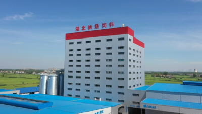优化营商环境丨资市镇：脚步为亲解难题 助企纾困促发展